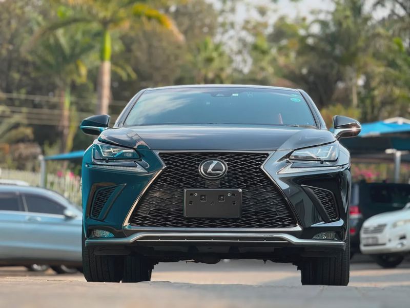 2019 Lexus RX3OO